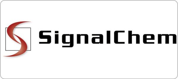 SignalChem Logo